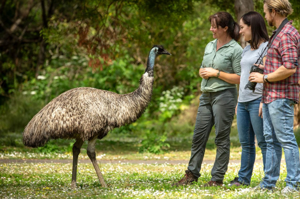 Adelaide to Melbourne 3 Day Tour (Private Single Ensuite)