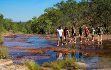 Autopia Tours (Northern Territory)5