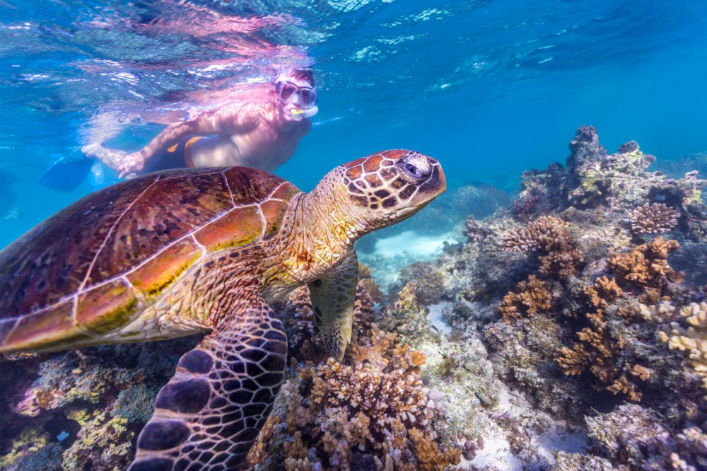 Perth to Exmouth Explorer 7 Day Tour (Basic Shared Accommodation)