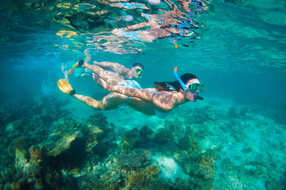 Perth to Exmouth 6 Day Coral Coaster Tour (Basic Shared Accommodation)