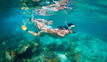 A picture of Perth to Exmouth 6 Day Coral Coaster Tour (Basic Shared Accommodation)