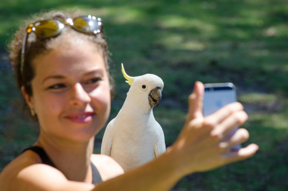 Autopia Tours  (South Australia)