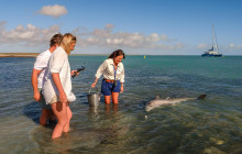 Autopia Tours (Western Australia)14