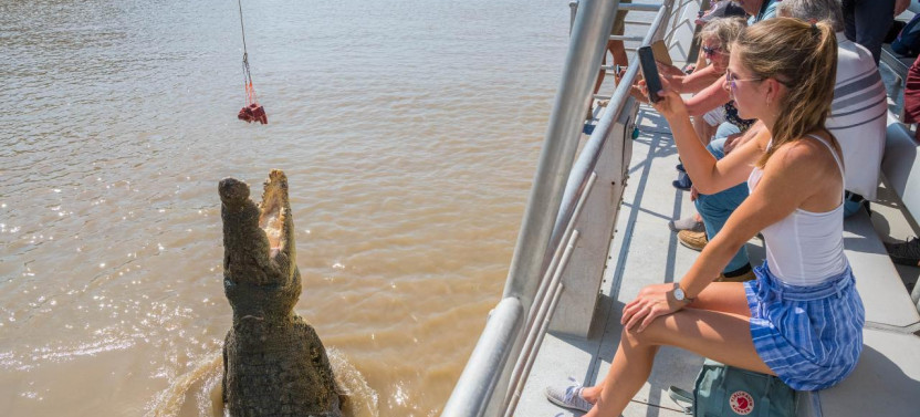 Half Day Jumping Crocodile Cruise