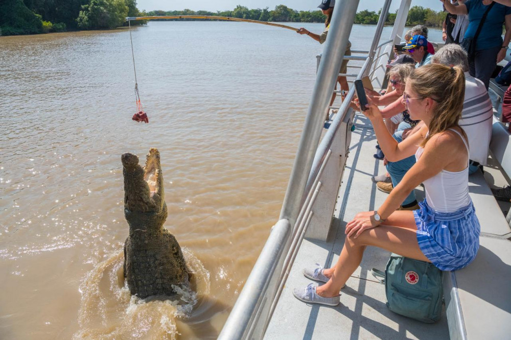 Half Day Jumping Crocodile Cruise