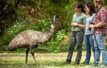 Autopia Tours (Victoria/New South Wales)1