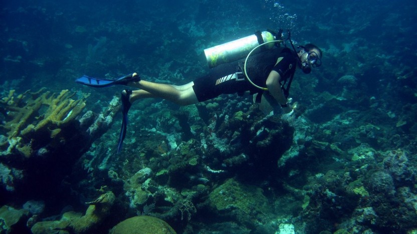 Dive Master Course