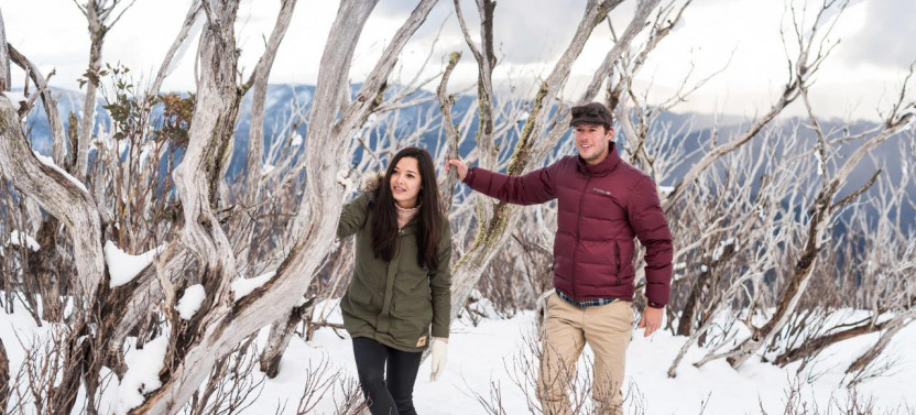 Lake Mountain Snow & Waterfalls Tour