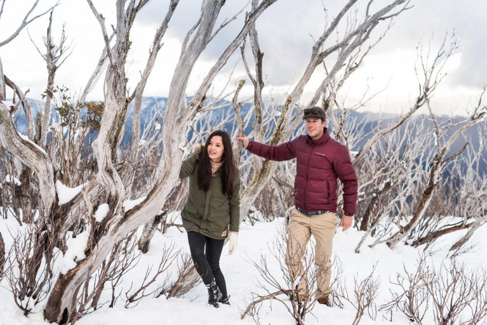 Lake Mountain Snow & Waterfalls Tour