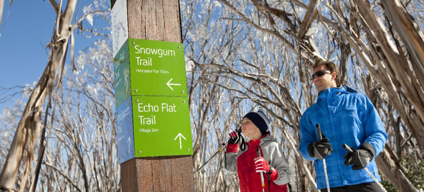 Lake Mountain Snow & Waterfalls Tour