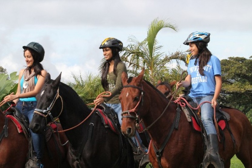 Monteverde Horseback Riding Mountain & Farm Views
