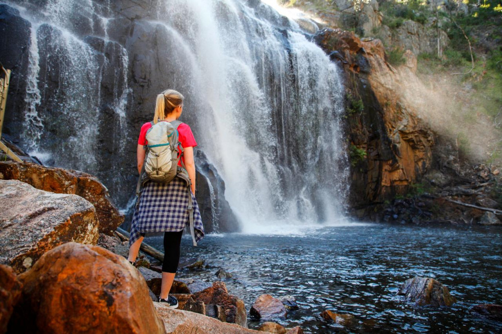 Grampians National Park & Wildlife Tour