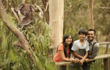 Autopia Tours (Victoria/New South Wales/Queensland)4