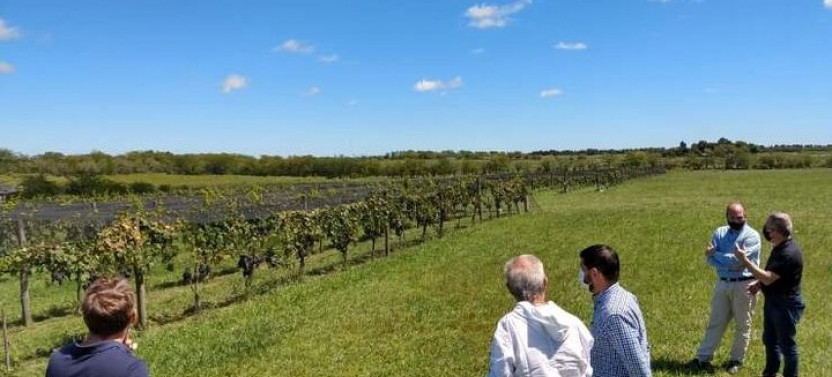 Small Group Wine Tasting & Luxury Lunch at Bodega Gamboa