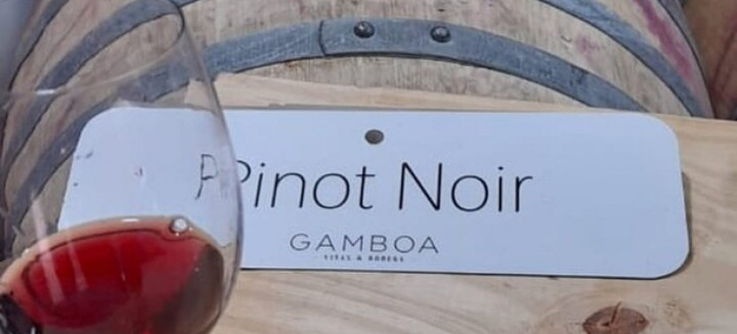 Small Group Wine Tasting & Luxury Lunch at Bodega Gamboa