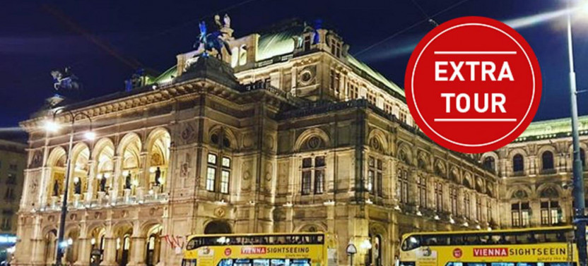 Enchanting Vienna Panoramic Night Tour with Audio Guide