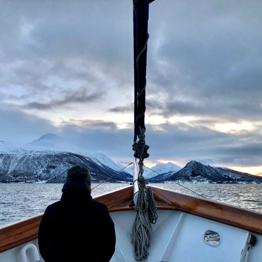 polar fjord cruise tromso