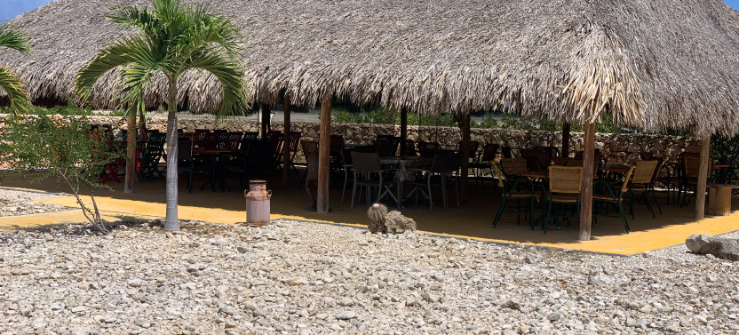 Donkey Sanctuary Tour With Local Guide