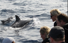 Azul Diving Madeira7