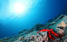 Azul Diving Madeira10