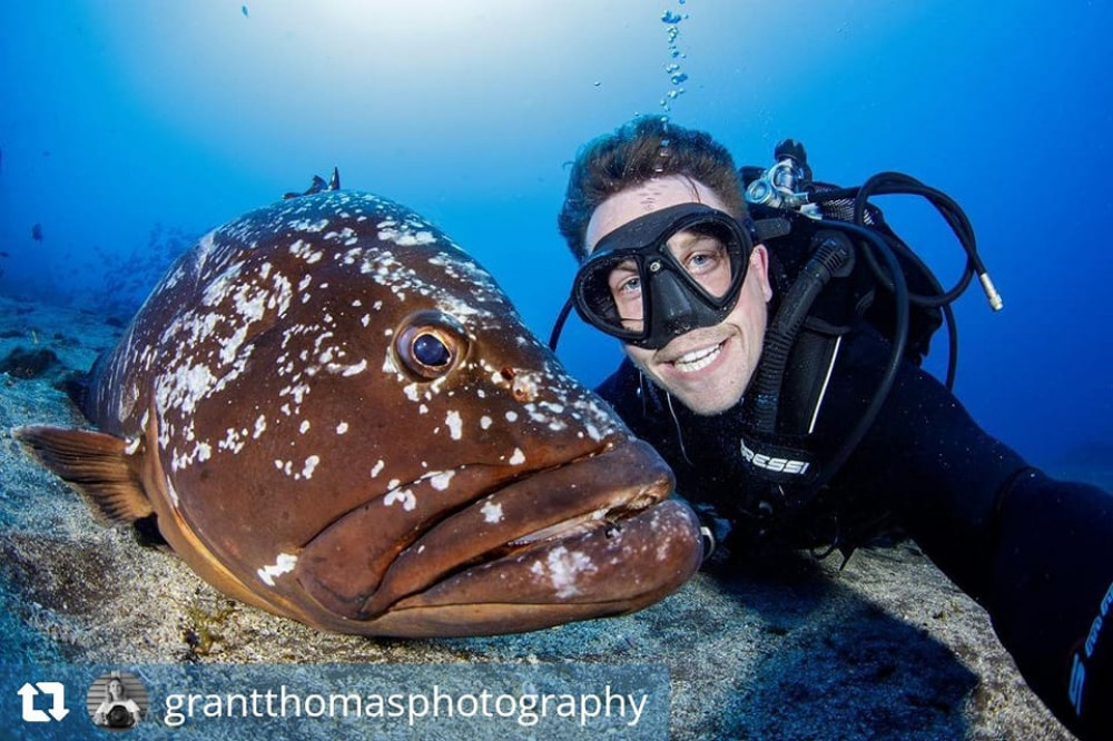 Scuba Diving Trip: Garajau Marine Reserve - Includes 2 Dives & Tanks