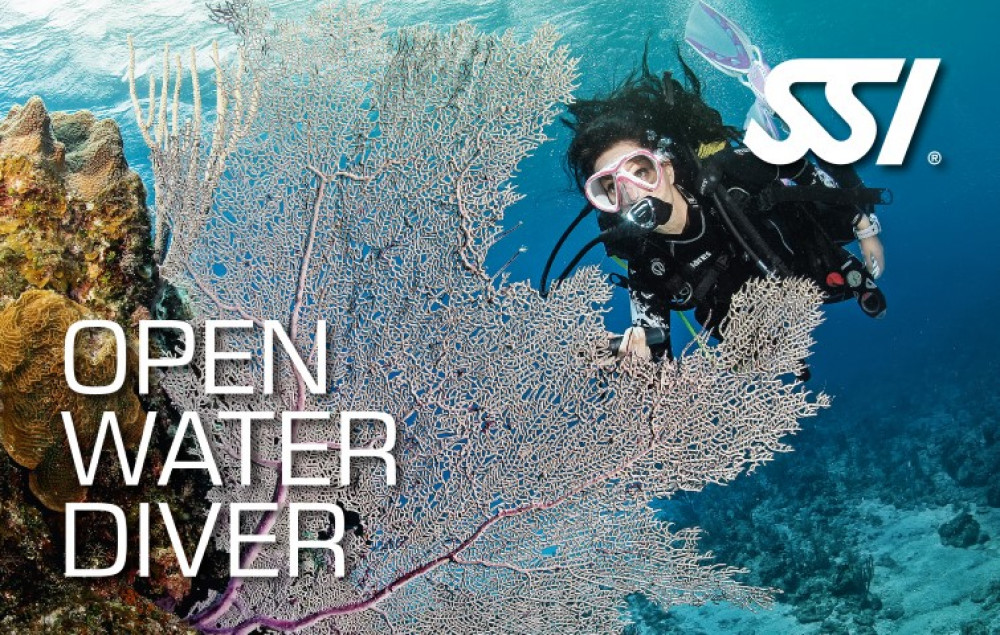 Azul Diving Madeira