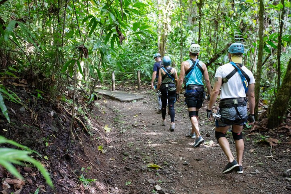 Arial Rope Course Challenge at Rainforest Park Jacó - Jaco | Project ...