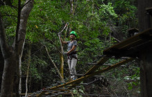 Rainforest Adventures St Lucia6