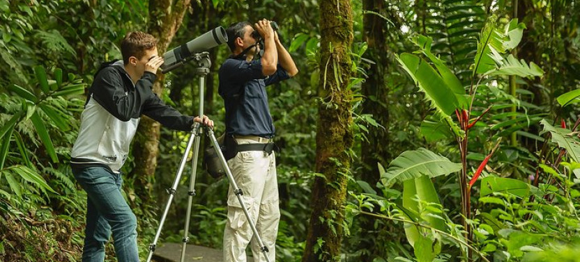 Braulio Carrillo Rainforest Park Bird-Watching Tour From San Jose