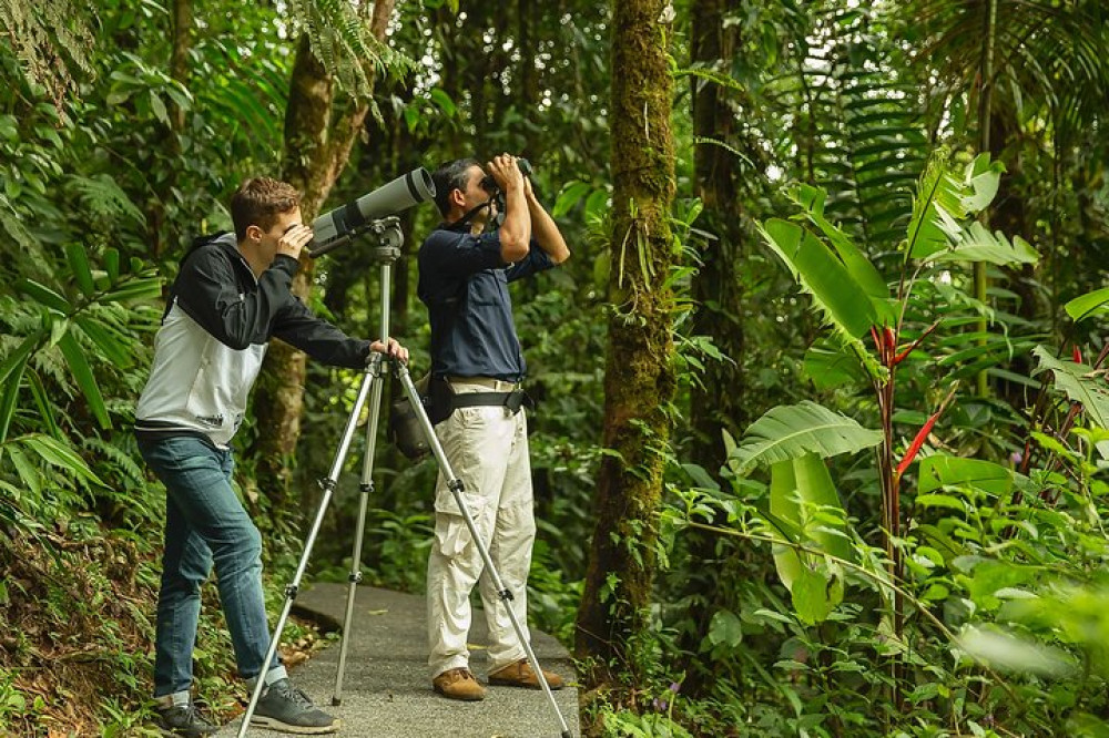 Braulio Carrillo Rainforest Park Bird-Watching Tour From San Jose - San ...