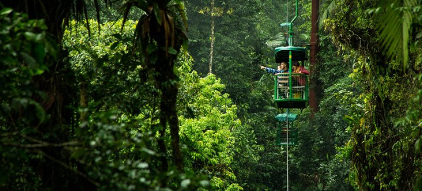 Aerial Tram Tour Braulio Carrillo Rainforest Park