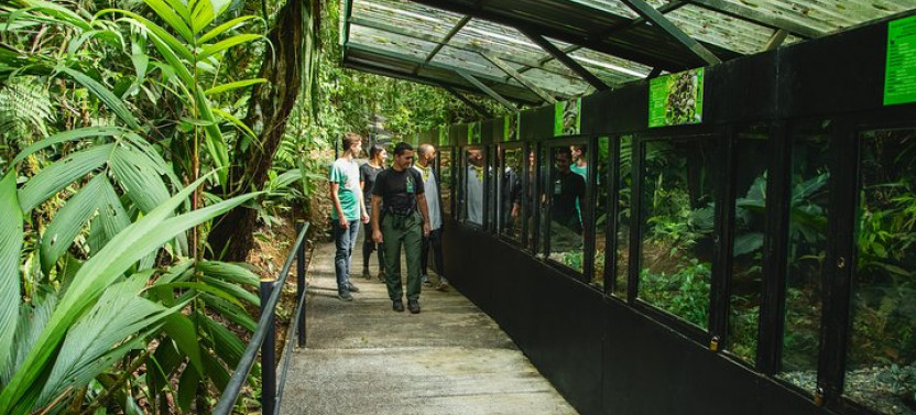 Aerial Tram Tour Braulio Carrillo Rainforest Park