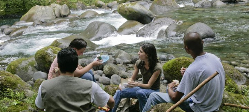 Arial Tram and Nature Hike in Braulio Carrillo Rainforest Park