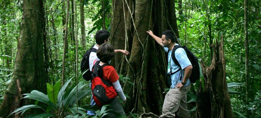 Arial Tram and Nature Hike in Braulio Carrillo Rainforest Park