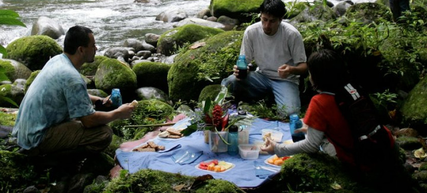Arial Tram and Nature Hike in Braulio Carrillo Rainforest Park
