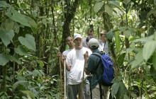 Rainforest Adventures St Lucia6