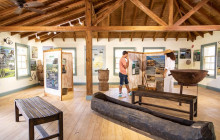 Rainforest Adventures St Lucia4