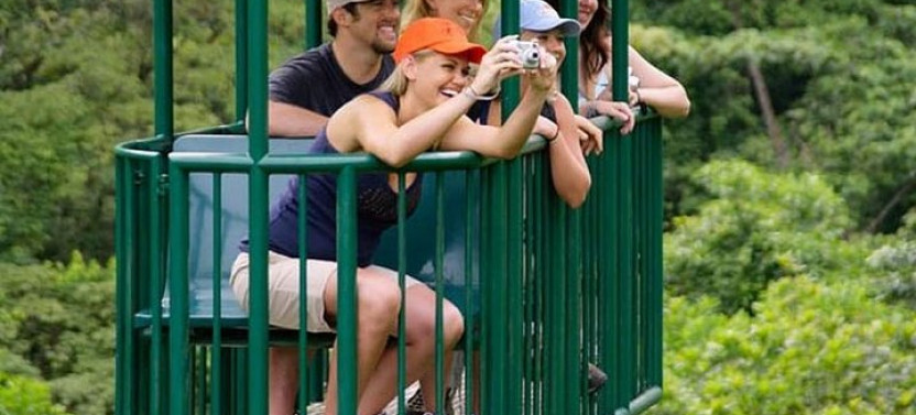 Aerial Tram Tour Rainforest Park Jacó
