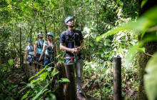 Rainforest Adventures St Lucia5