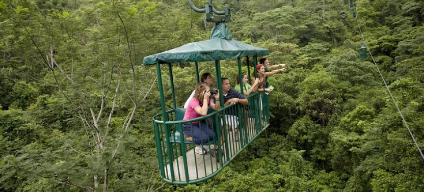 Aerial Tram and Zip Line Tour Rainforest Park Jacó