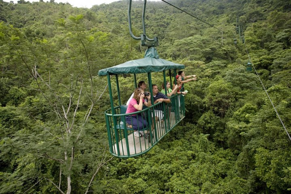 Aerial Tram and Zip Line Tour Rainforest Park Jacó