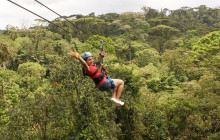 Rainforest Adventures St Lucia5