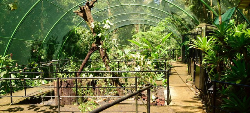 6-in-1 Pass: Braulio Carrillo Rainforest Park Extreme Adventure