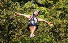 Rainforest Adventures St Lucia1