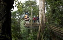 Costa Rica Atlantic: Canopy Zip Line