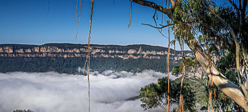 Blue Mountains Waterfalls, Bushwalks & Wildlife Late Start