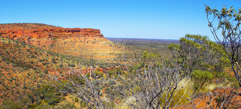 Kings Canyon To Ayers Rock Transfer