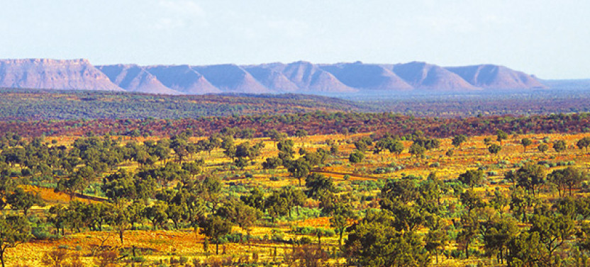 Ayers Rock To Kings Canyon Transfer