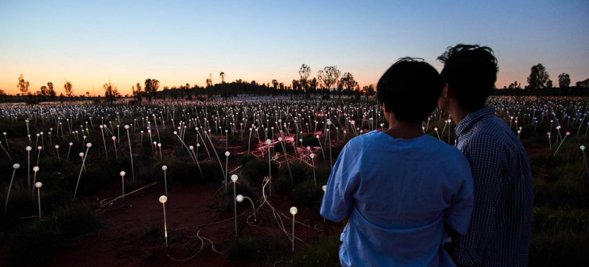Uluru Sunrise & Field Of Light