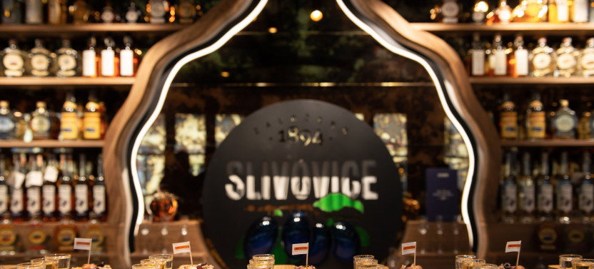 Slivovitz Museum With Plum Brandy Tasting And 5D Virtual Reality